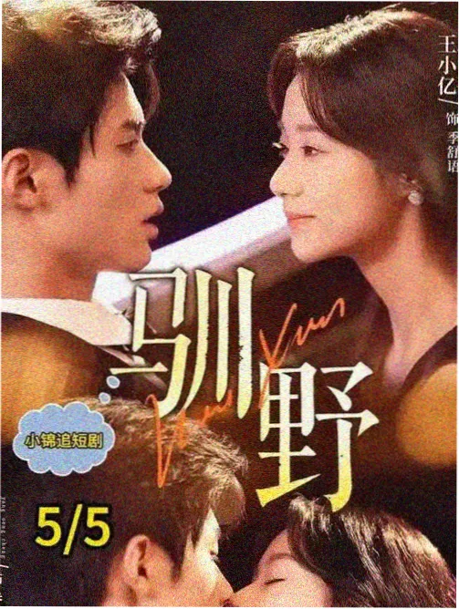 龙之家族 免费观看电视剧连续剧大全